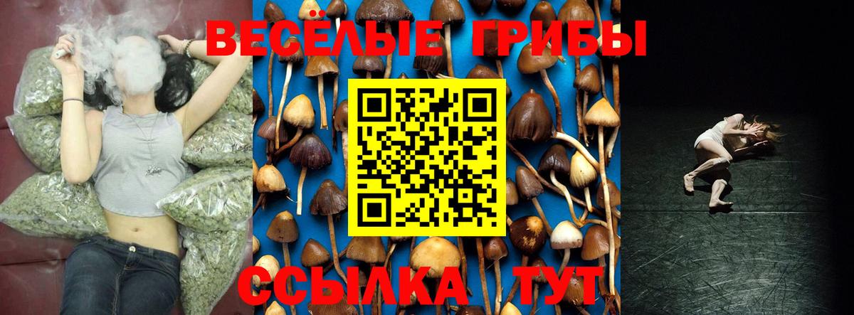 купить   Псилоцибиновые грибы GOLDEN TEACHER  Псилоцибиновые грибы Magic Shrooms  Вход с VPN  Дмитров 