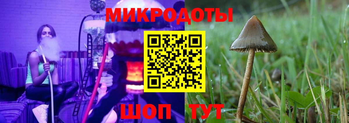 Псилоцибиновые грибы MAGIC MUSHROOMS Дмитров